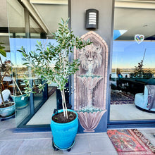 Load image into Gallery viewer, Lion Water Fountain
