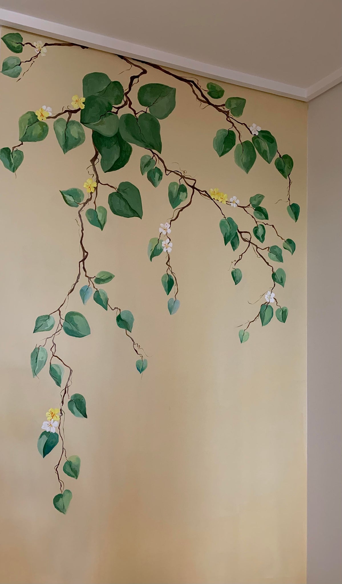 money plant wall painting CUSTOM WALL PAINTING – MONTE Gallery